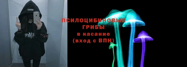 ГАЛЛЮЦИНОГЕННЫЕ ГРИБЫ Березники